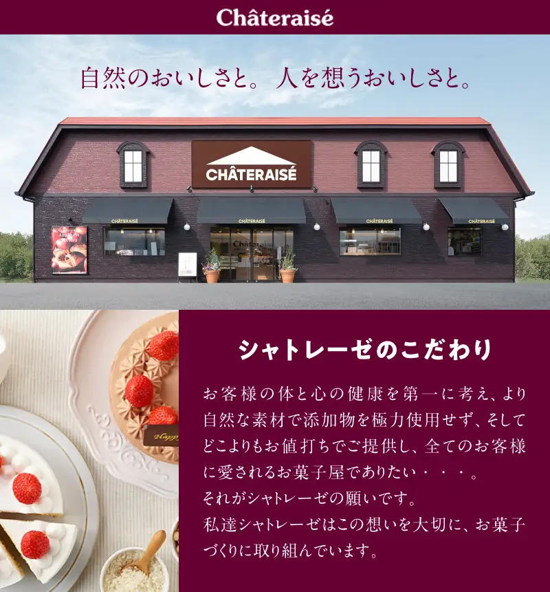 【ふるなび限定】【シャトレーゼ】チョコアイスバラエティセット　アイスクリーム チョコバッキー 詰め合わせ FN-Limited-SP [h367]
