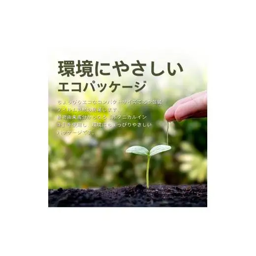 【3ヶ月毎月定期便】エルモア ピコ トイレットペーパー 96ロール相当 ダブル｜2倍巻き 48ロール 香り付き