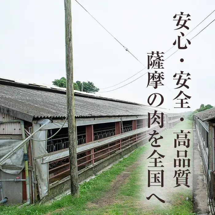 No.1155 鹿児島県産黒豚肉使用！黒豚切り落とし(計2.7kg・150g×18P)国産 九州産 黒豚 豚肉 切り落とし 切落し 生姜焼き すき焼き 小分け 冷凍【コワダヤ】【404】【1154】