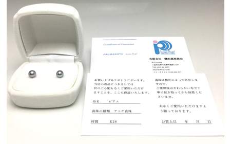 真珠 ピアス 5.0～5.5ミリ Pt900 アクセサリー パール アコヤ真珠 伊勢 志摩 伊勢志摩 英虞湾 冠婚葬祭 慶事 弔事 結婚式 入学式 卒業式 ギフト フォーマル カジュアル 誕生石 記念日 / 老舗の真珠専門店・高品質アコヤ真珠ブルーピアス5.0～5.5ミリ（Pt900）
