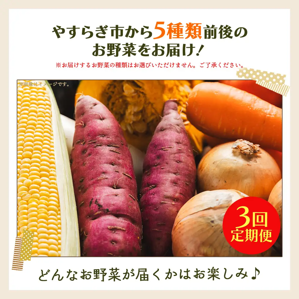 【定期便】野菜5種前後 | 野菜 定期便 野菜 定期便 野菜 定期便  Wyr-0029