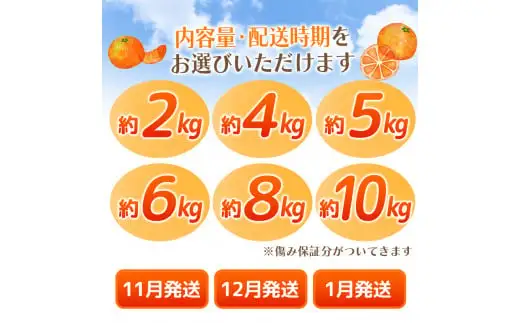 【2026年12月発送予約分】＼光センサー選別／ 【農家直送】【家庭用】こだわりの有田みかん 6kg＋150g(傷み補償分) 先行予約 有機質肥料100% サイズ混合 【12月発送】みかん ミカン 有田みかん 温州みかん 柑橘 有田 和歌山 ※北海道・沖縄・離島配送不可/みかん ミカン 有田みかん 温州みかん 柑橘 有田 和歌山 産地直送【nuk004-c-6-decI】