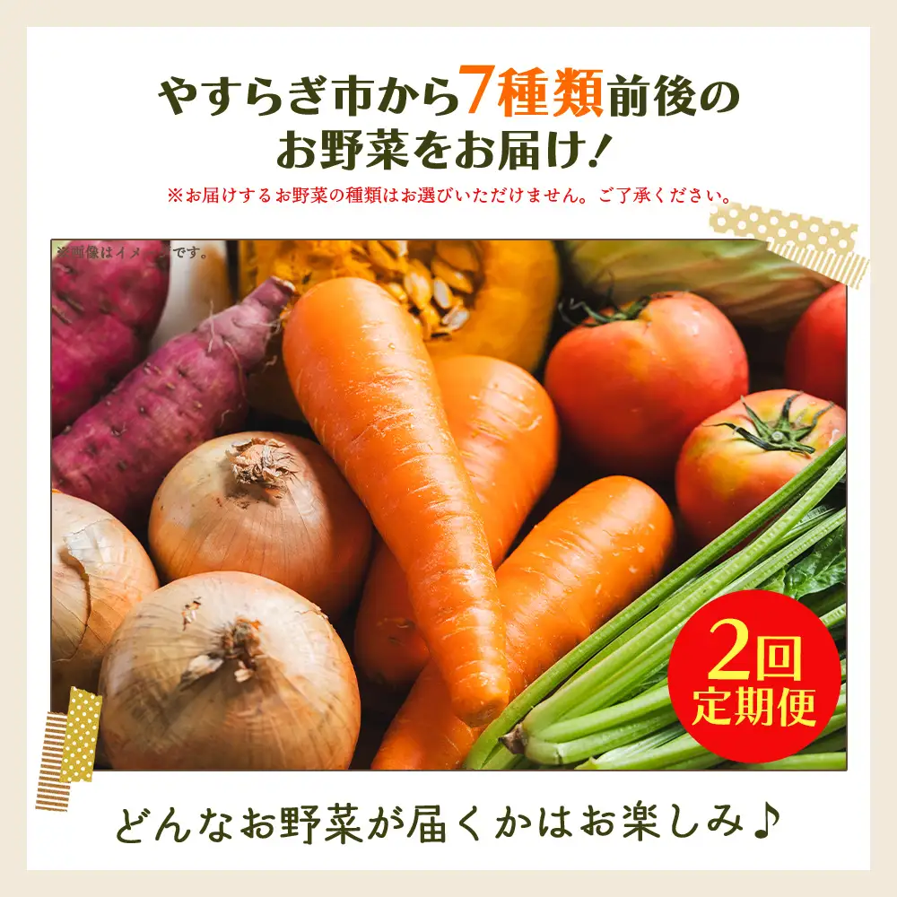 【2回定期便】産地直送 野菜 定期便 Wyr-0034