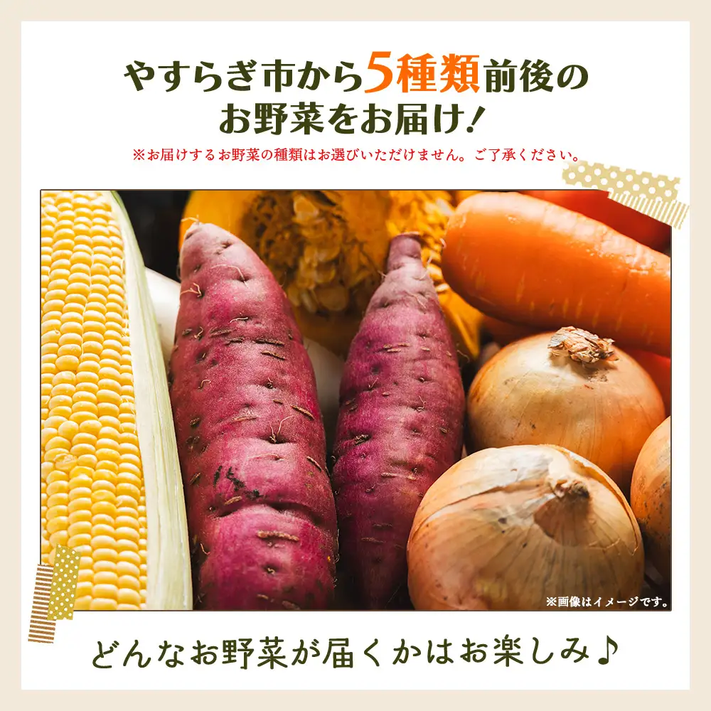 野菜 5種類前後【野菜 野菜 野菜 野菜 野菜 野菜 野菜】 yr-0027