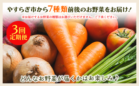 【3回定期便】野菜BOX 7種類前後【 野菜の定期便 野菜の定期便 野菜の定期便 】 Wyr-0035