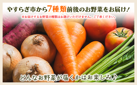 産地直送やさいＢＯＸ（7種類前後） 【野菜 旬 やさい やさい 野菜 デザート 野菜 高評価 野菜 人気 やさい おすすめ】 yr-0033