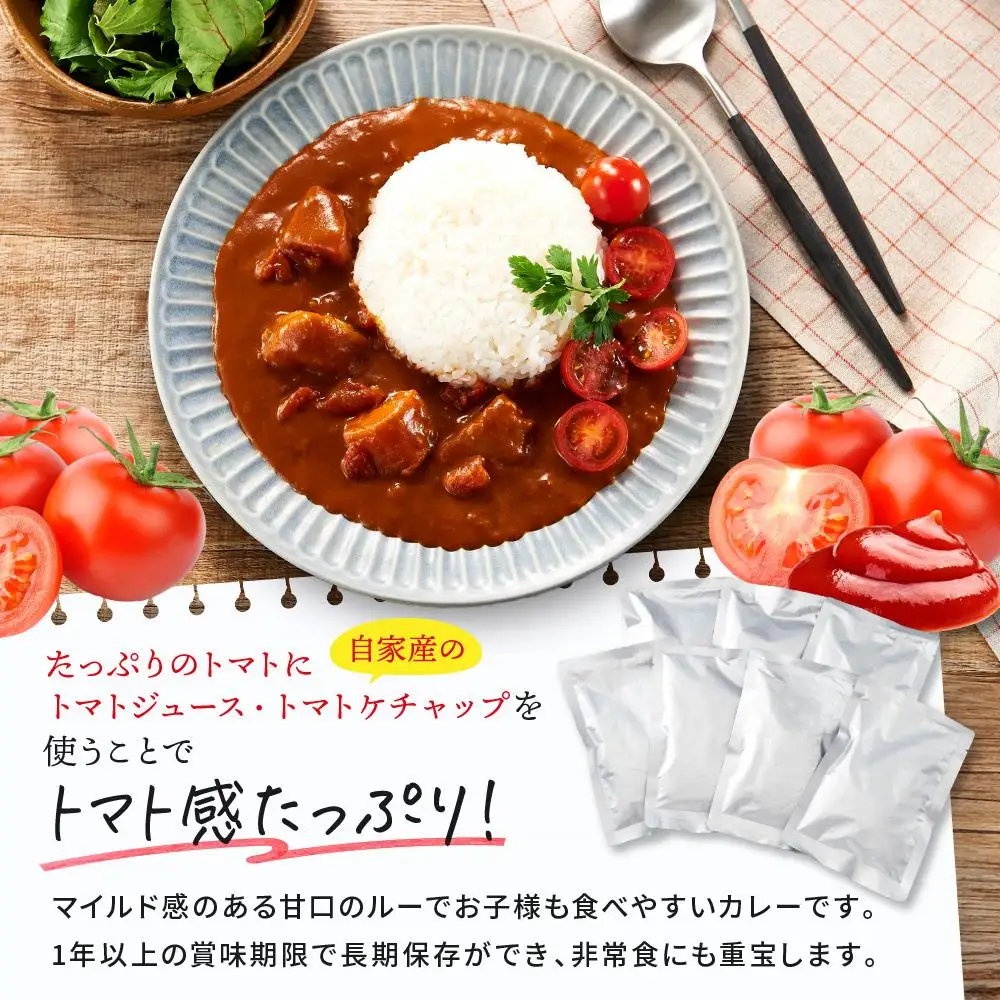 訳あり とまとたっぷりカレー（160ｇ×30袋）| 野菜の旨味 簡易包装 トマト カレー 人気 野菜たっぷり 子供 おいしい ふるさと清見21 DC023