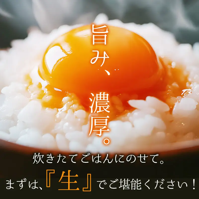 【定期便6か月】 卵 赤たまご 240個 ： 40個×6回 【配送不可地域：北海道、沖縄、離島】