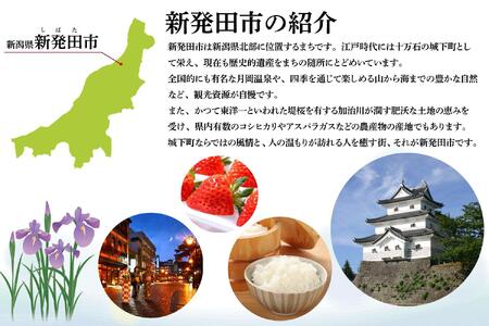 定期便 甘うま こしひかり 無洗米 7kg 6ヶ月 | 無洗米 米 お米 精米 無洗米 新潟県 新発田市 toushin00901