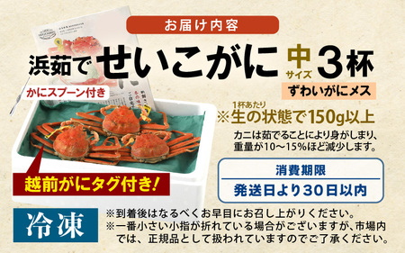 【先行予約】せいこがに 中 約150g × 3杯【冷凍】【2026年11月下旬以降順次発送予定】はるか丸厳選！ せいこがに [m36-b010]