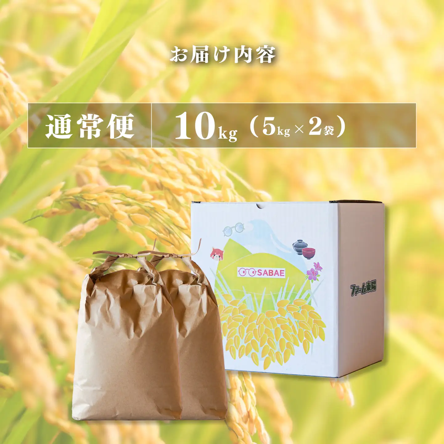 令和7年産  あきさかり　通常便（1回配送）計10kg（5kg×2袋）