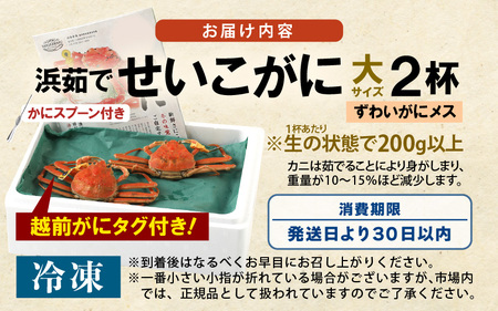 【先行予約】せいこがに 大 約200g × 2杯【冷凍】【2026年11月下旬以降順次発送予定】はるか丸厳選！浜茹で せいこがに [m36-c005]
