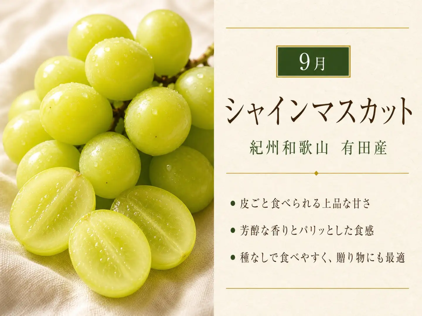 【8・9・12月 全3回】紀州和歌山産旬のフルーツセット（巨峰・シャインマスカット・みかん） 定期便