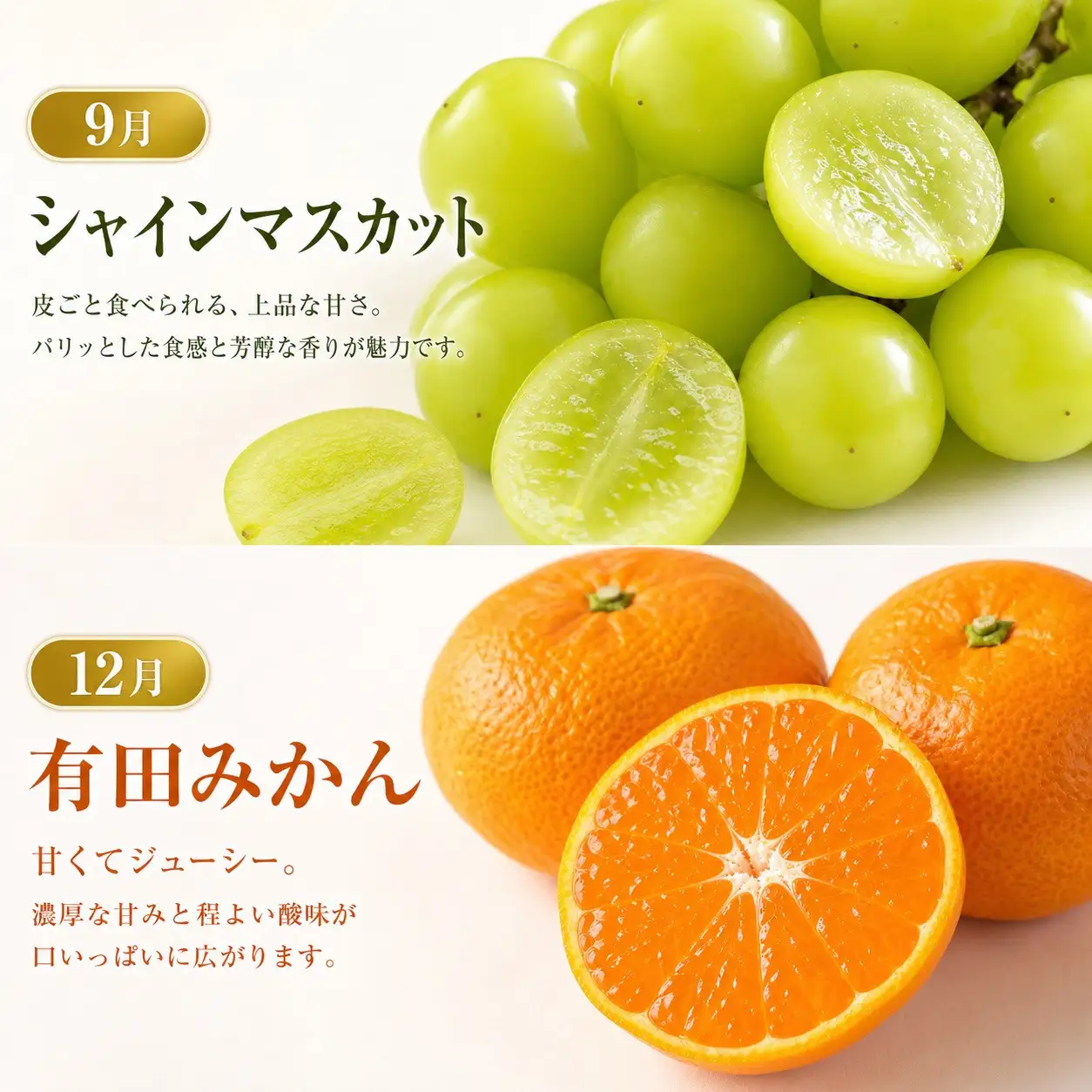 【2・8・9・12月 全4回】紀州和歌山産旬のフルーツセット（巨峰・シャインマスカット・みかん・不知火） 定期便