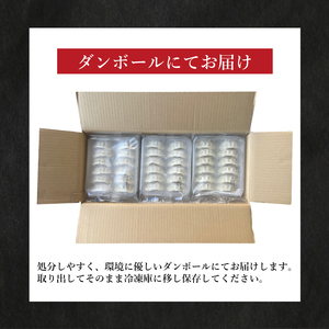 訳あり 餃子72個 冷凍 小分け 鶏肉餃子 IB