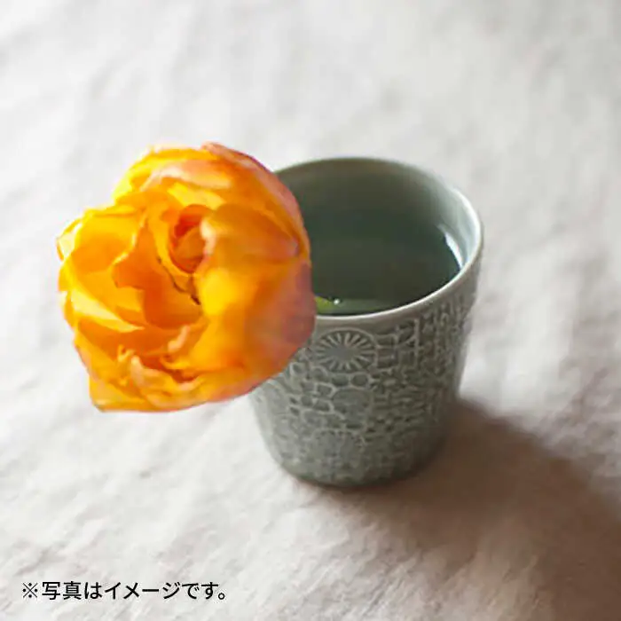 【波佐見焼】PATTERNED CUP ペア2色セット squall gray + antique rose　【BIRDS’ WORDS】[CF070]