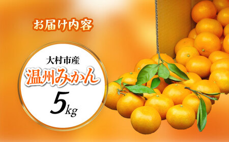 【2026年11月上旬より順次発送】みかん 5kg　/ みかん 果実 柑橘 / 大村市 / おおむら夢ファームシュシュ [ACAA377]