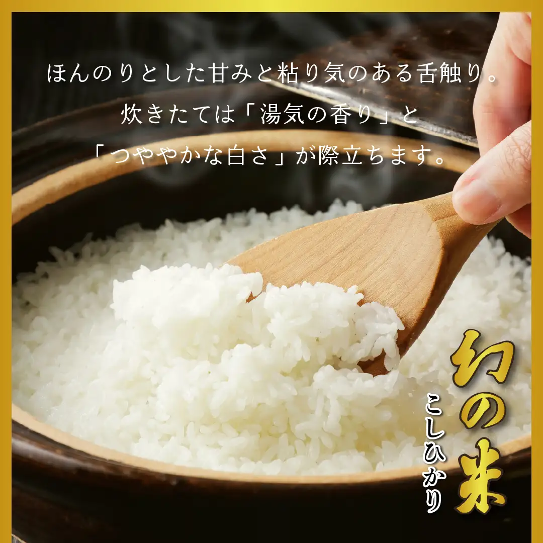 コシヒカリ 10kg  令和7年産 【幻の米】コシヒカリ 長野県 飯山市（7-74A）