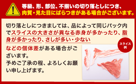 うまかポーク 切り落とし&ミンチ ハーフセット 約7.2kg 豚肉