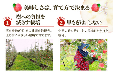完熟！りんご 葉とらずサンふじ 5kg [1087] | 青森 つがる
