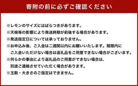 国産グリーンレモン  4kg【2026年10月上旬～11月下旬まで順次発送予定】｜ フルーツ 果物 グリーンレモン レモン 柑橘 れもん 檸檬 国産 静岡県 菊川市