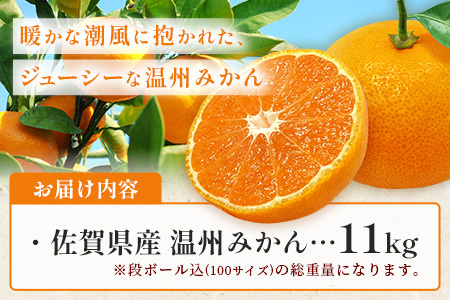 佐賀県産 温州みかん（2L～3L混載）大玉みかん サイズ指定不可【2026年11月下旬～1月上旬頃発送予定】｜果物 フルーツ 温州みかん 大玉 柑橘 国産 九州産 人気 甘い 佐賀産 鹿島産 B-802