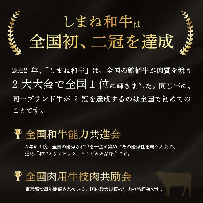 しまね和牛 カレー、シチュー等に 小間切れ 500g 【黒毛和牛 おすすめ 小分け 冷凍 和牛オリンピック 肉質NO.1 牛肉 肉 国産 和牛 料理 炒め物 おかず お弁当 ブランド牛 島根県 安来市】【14-DC-67】