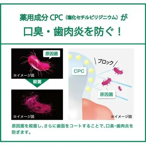 サンスターＧ．Ｕ．Ｍナイトケアリンス ナイトハーブ900ml×6個 ALPDI023
