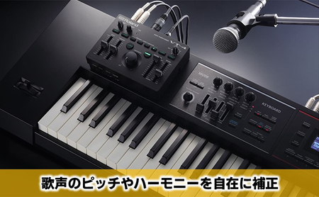 【Roland】ボイストランスフォーマー/VT-4【配送不可：離島】 雑貨 日用品 