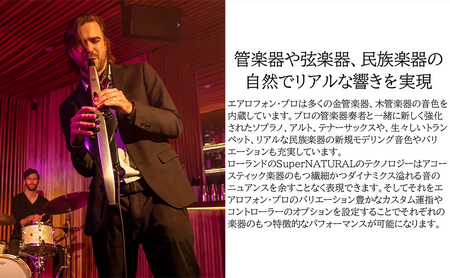 電子管楽器 Aerophone Pro AE 30 電子管楽器