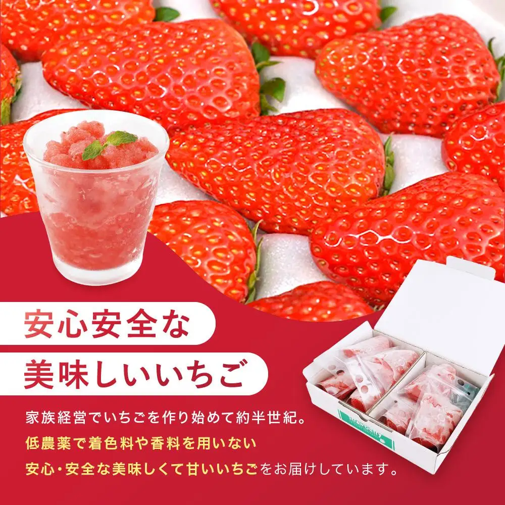 【冷凍】 いちごスムージー（紅ほっぺ）300g×6個  苺 フルーツ◇