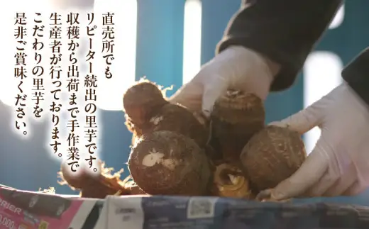 絶品里芋　～天晴れ～　4kg・S067-135