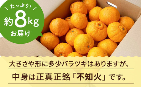 先行予約 訳あり 不知火 約8kg 【2027年2月下旬から4月上旬発送予定】
