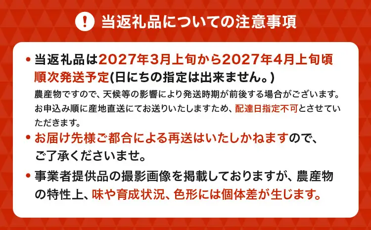 令和8年熊本地震復興支援 先行予約 熊本県宇城市産 パール柑 約10kg 【2027年3月上旬から4月上旬発送予定】文旦 柑橘 フルーツ 果物 果実 みかん 蜜柑 ミカン