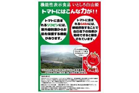 機能性表示食品　いとしろ白山姫　完熟トマト