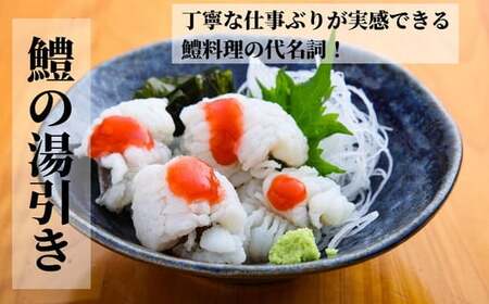 ハモ 切り身 500g 小松島産 鱧 ハモ