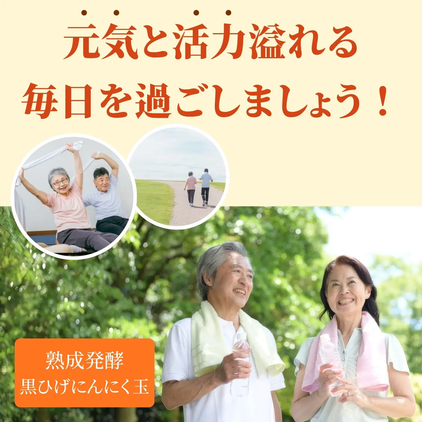 佐賀にしか無い手作り無添加の黒ひげにんにく玉 15袋セット：B845-003
