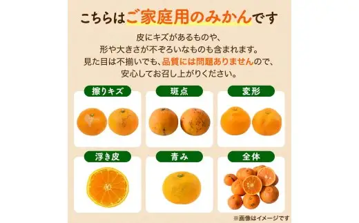 家庭用 はるみ みかん 5kg / くだもの 甘い 柑橘 果物 和歌山 ※2027年2月上旬頃～2月中旬頃に順次発送予定【nktn013-c-5】