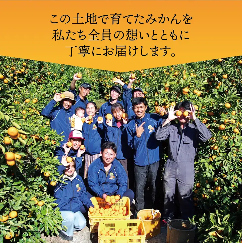 【訳あり】有田みかん 2kg 光センサー選別 みかん【nuk004-c-2-decH】