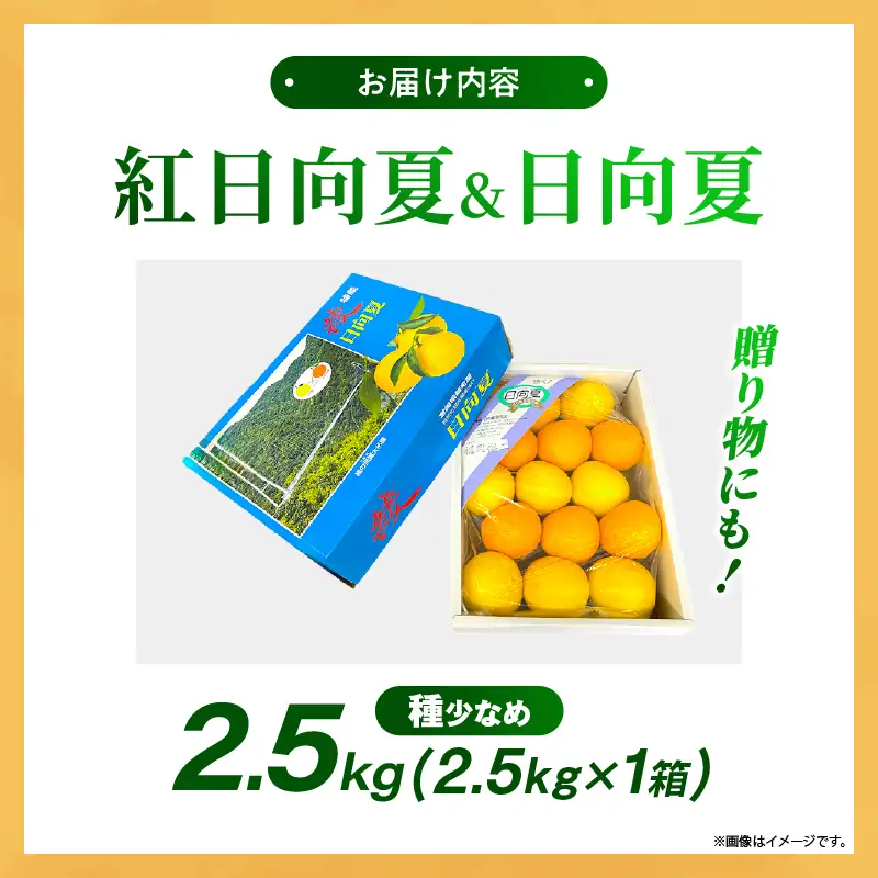 【先行予約】紅日向夏と日向夏の彩り箱 2.5kg 果物 フルーツ くだもの 柑橘 種少なめ フルーツサンド おやつ スイーツ デザート ジャム おすすめ ギフト 贈り物 贈答 プレゼント おすそ分け お返し 宮崎県 綾町 送料無料【JA綾町】_A0114-2451