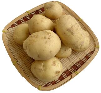【びんご圏域連携】 【全3回定期便 先行予約】 地元を味わう名産便（吉名じゃがいも・うつみ牡蠣小町・ジビエ） 広島県福山市/一般社団法人世羅町観光協会 肉 猪 海産物 牡蠣 野菜 じゃがいも 定期便 [BABM002]