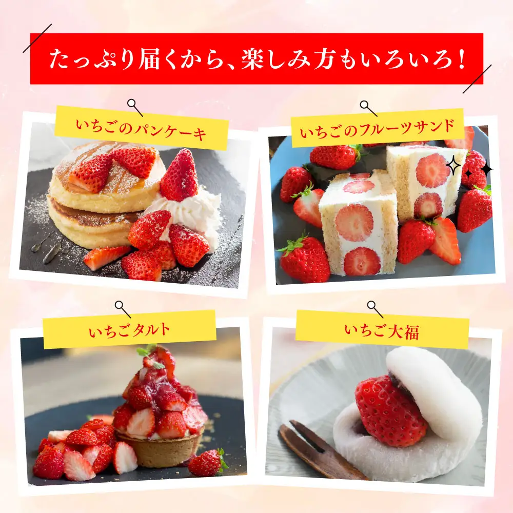 【先行受付 令和9年1月下旬より発送】特選いちご(いちごさん) 250g×4パック(H101107)