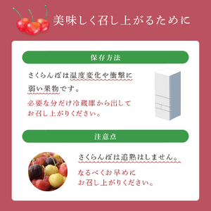先行受付 さくらんぼ スタックゴールド1kg（500g×2パック）