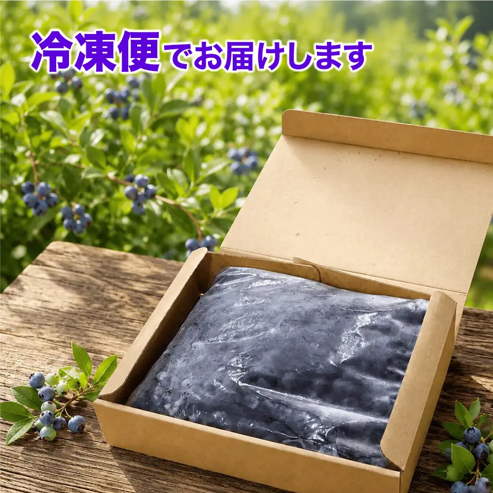 【ふるなびWEEK対象】冷凍ブルーベリー 1kg [ku001-1kg] ベリー