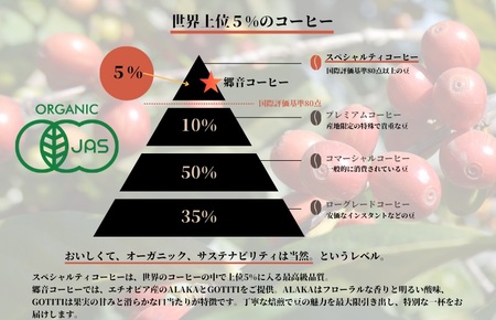 スペシャルティコーヒー焙煎豆 200g×2種 （中浅煎り／中深煎り） 