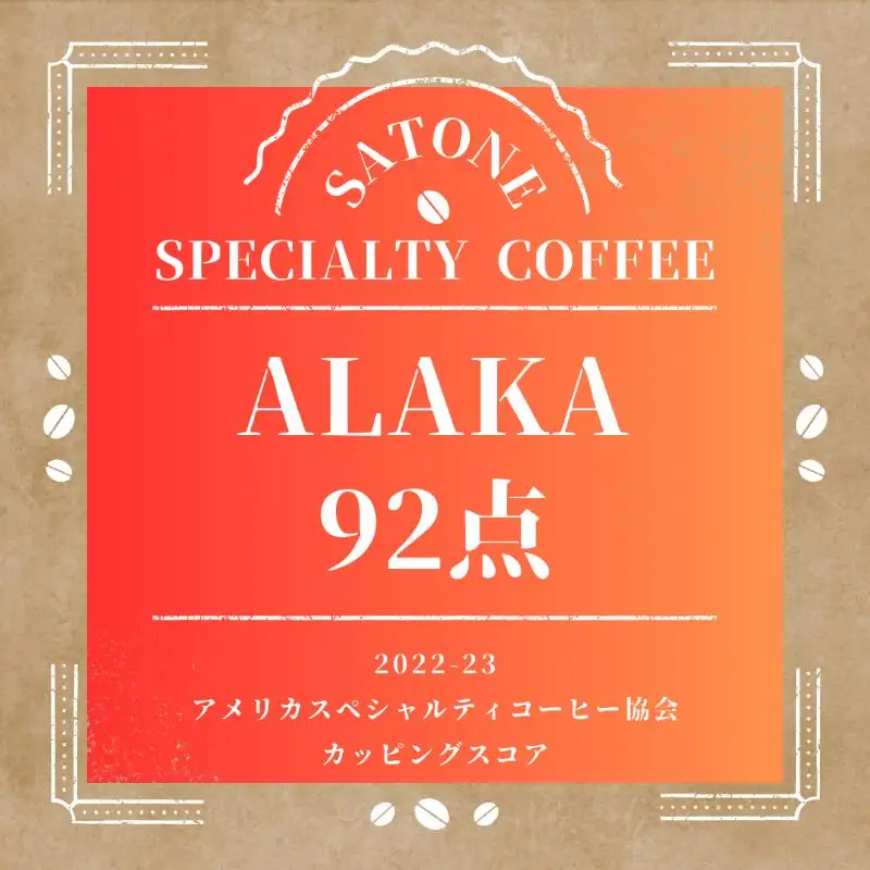 スペシャルティコーヒー焙煎豆 中浅煎り 300g 定期便 全6回【2か月に1回配送コース】