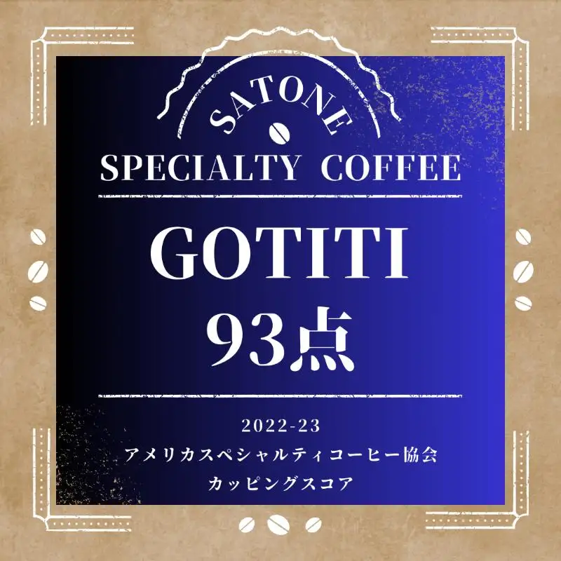 スペシャルティコーヒー焙煎豆 中深煎り 300g 定期便 全6回【2か月に1回配送コース】