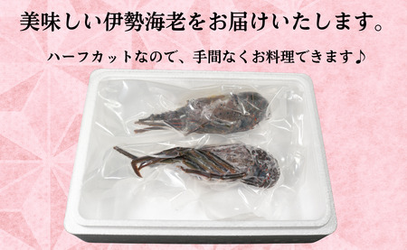 伊勢海老 ハーフカット 2枚 イセエビ エビ エビ エビ 〆印島長水産