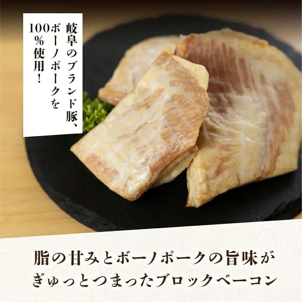 【定期便 3回】飛騨味職人「ボーノポーク満喫定期便」【57-E】