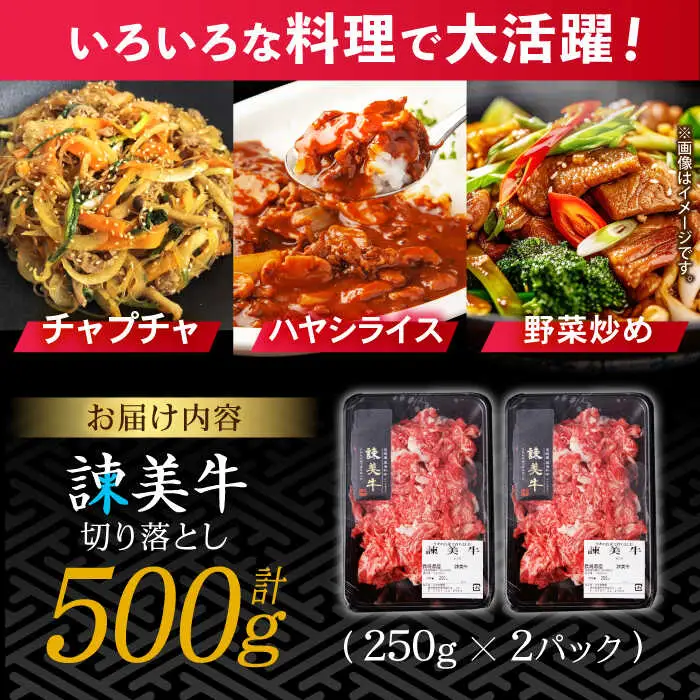 【特Aのブランド米で育てた】諫美牛 切り落とし 500g(250g×2) / 牛肉 ぎゅうにく 和牛 牛 肉 国産 切り落とし 切り落し 切りおとし / 諫早市 / 株式会社土井農場 [AHAD090]